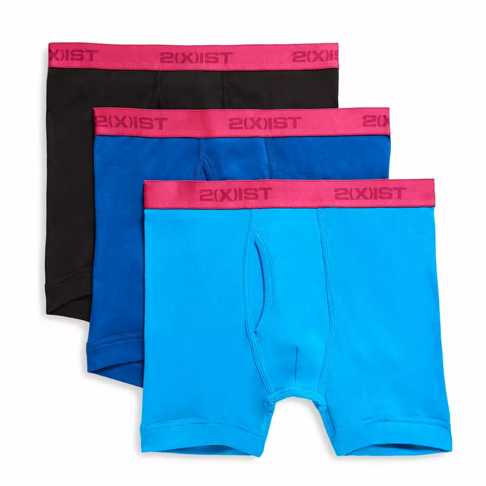 2XIST 2X020304 ESSENTIAL 3Pack BOXER BRIEF 2 2XIST 2X020304 ESSENTIAL 3Pack BOXER BRIEF