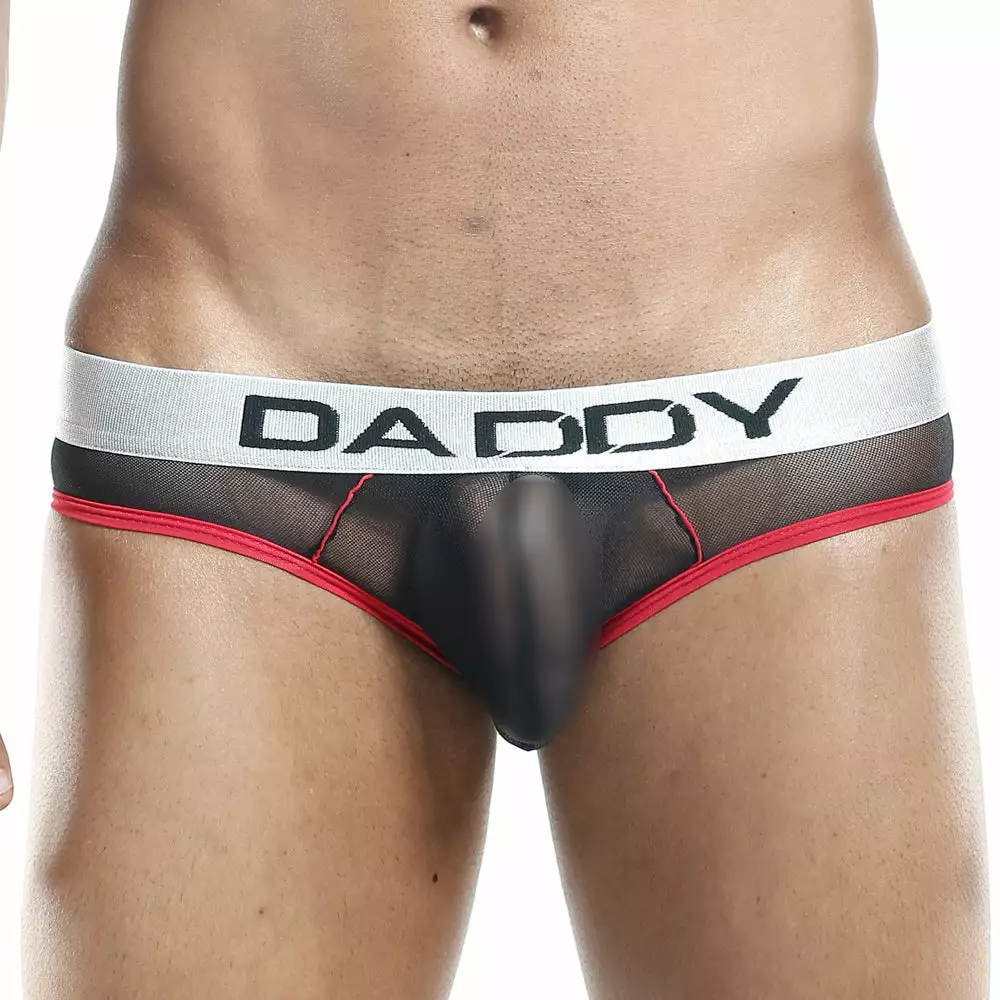 Daddy Underwear Best Sellers Daddy DDJ001 Bikini Brief 3 Daddy Underwear Best Sellers Daddy DDJ001 Bikini Brief