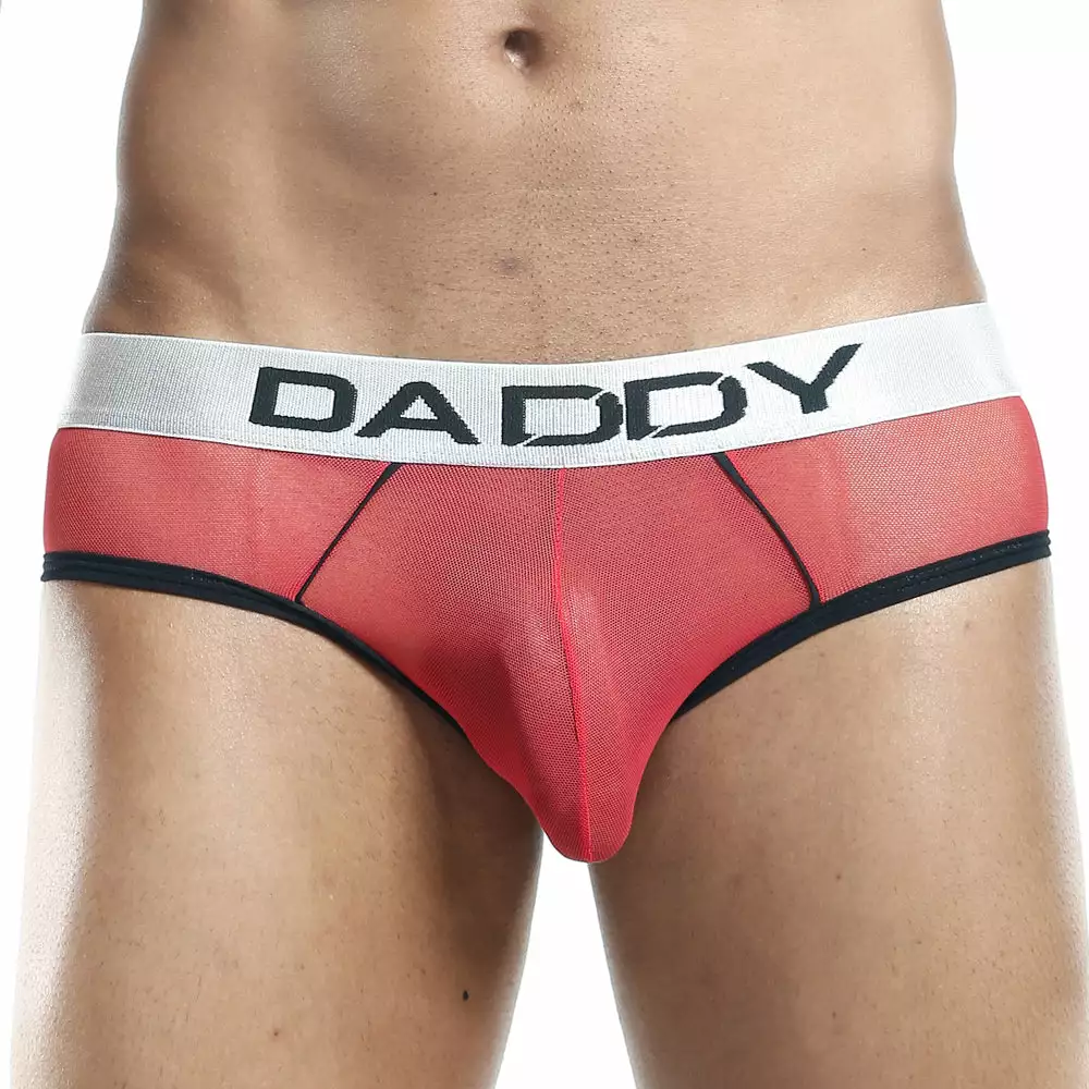 Daddy Underwear Best Sellers Daddy DDJ001 Bikini Brief 11 Daddy Underwear Best Sellers Daddy DDJ001 Bikini Brief