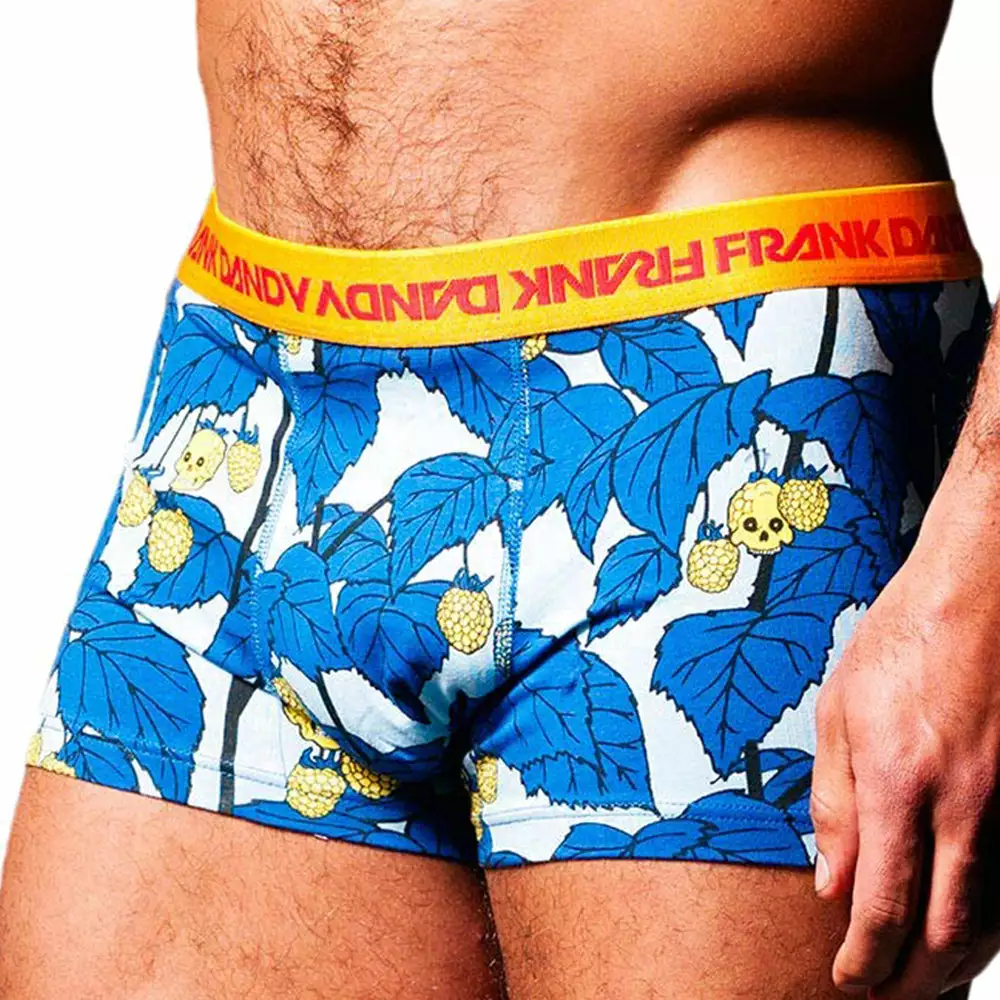 Frank Dandy FD1084813 Mens Trunk Boxer Skullberry Underwear 1 Frank Dandy FD1084813 Mens Trunk Boxer Skullberry Underwear