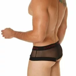 Good Devil GD722 Rotica Sheer Cheeky Brief