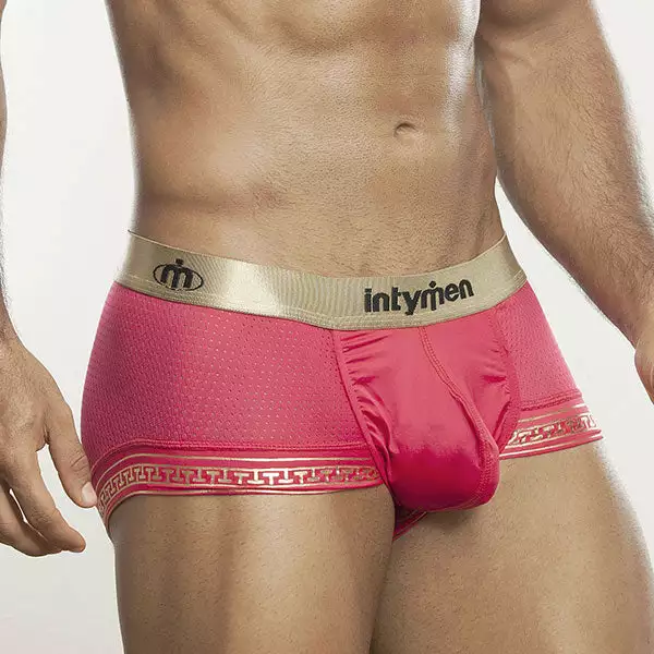 Intymen INT5602 Classic Mesh Boxer 6 Intymen INT5602 Classic Mesh Boxer