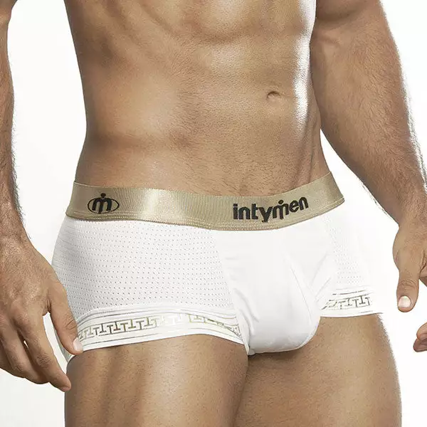 Intymen INT5602 Classic Mesh Boxer 1 Intymen INT5602 Classic Mesh Boxer