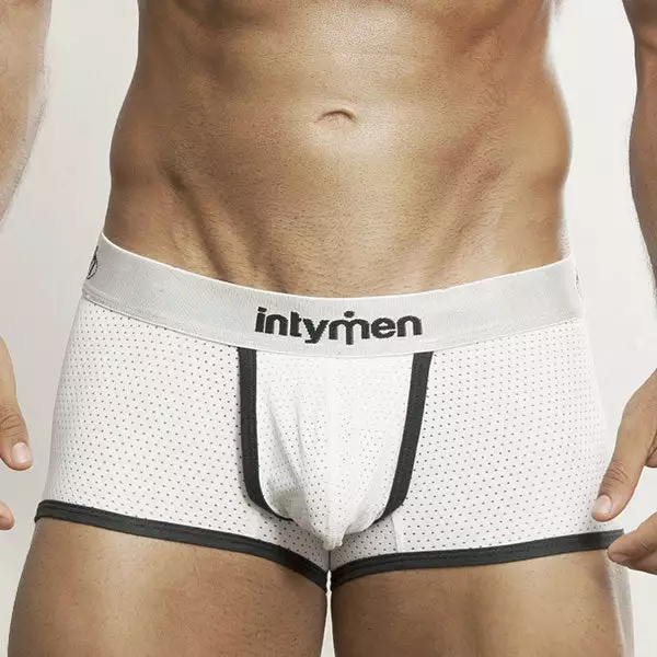 Intymen INT5604 Mesh Trim Boxer 1 Intymen INT5604 Mesh Trim Boxer