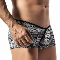 Pikante 8398 Nozomi Boxer