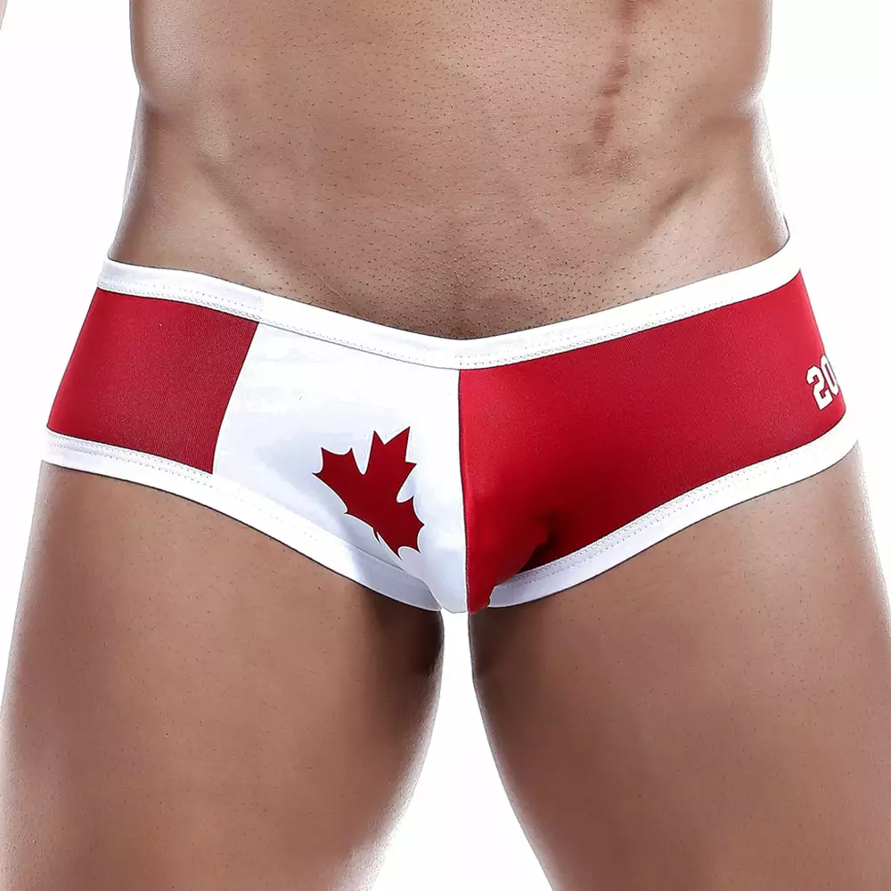 Daniel Alexander DAJ009 Brief 1 Daniel Alexander DAJ009 Brief