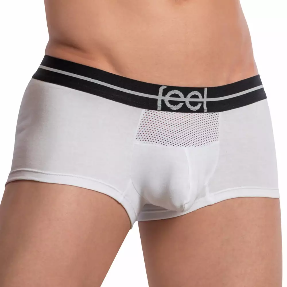 Feel FEG025 Flanders Boxer 6 Feel FEG025 Flanders Boxer