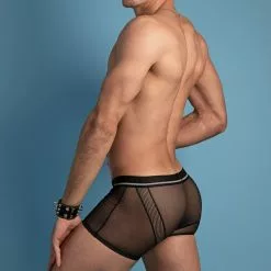 Hung HGG011 Podium Boxer What's New