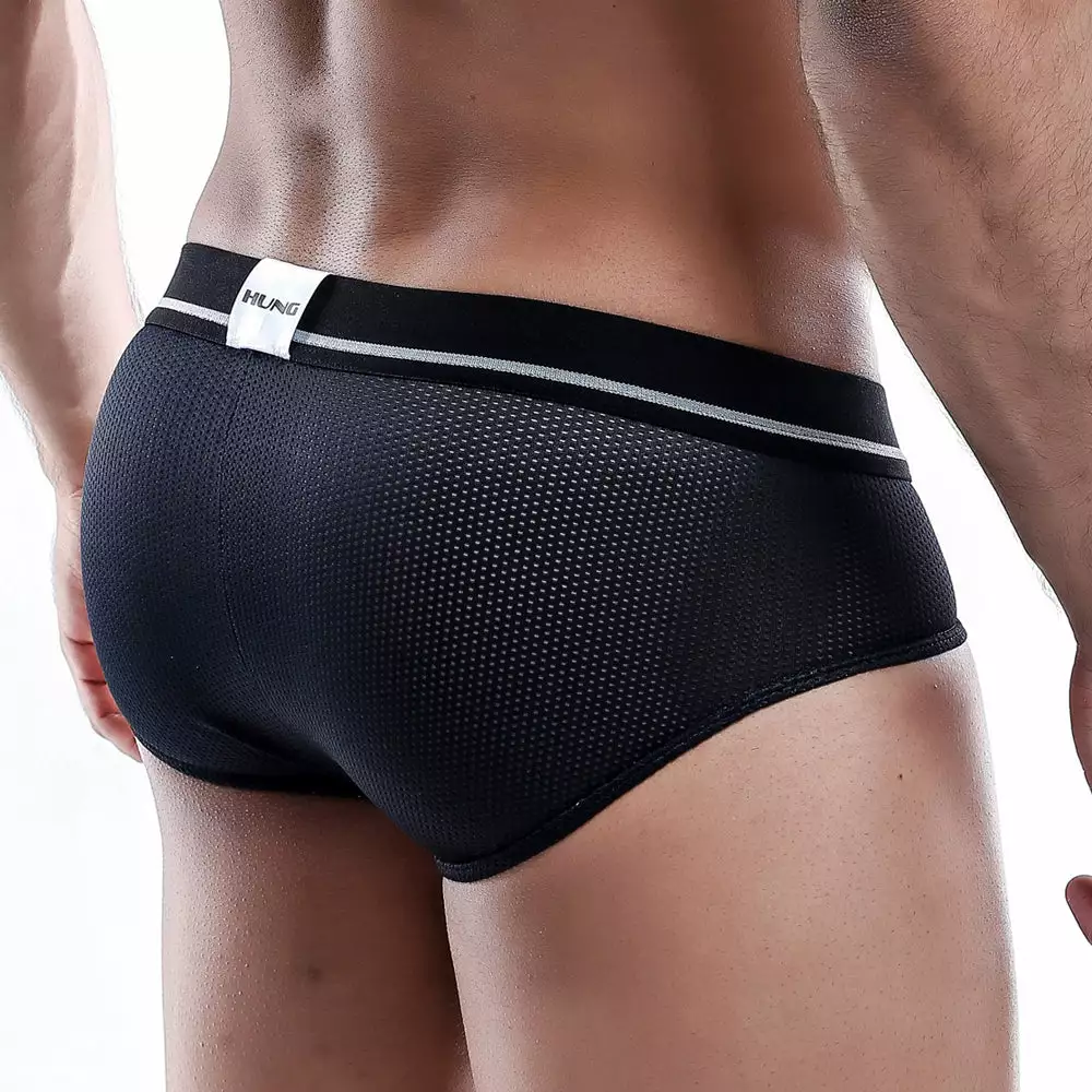 Hung HGJ001 Brief Mesh Underwear 2 Hung HGJ001 Brief Mesh Underwear