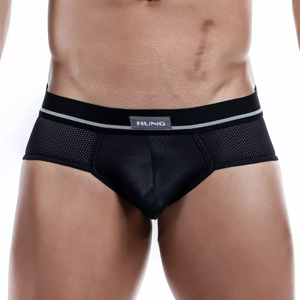 Hung HGJ001 Brief Mesh Underwear 1 Hung HGJ001 Brief Mesh Underwear