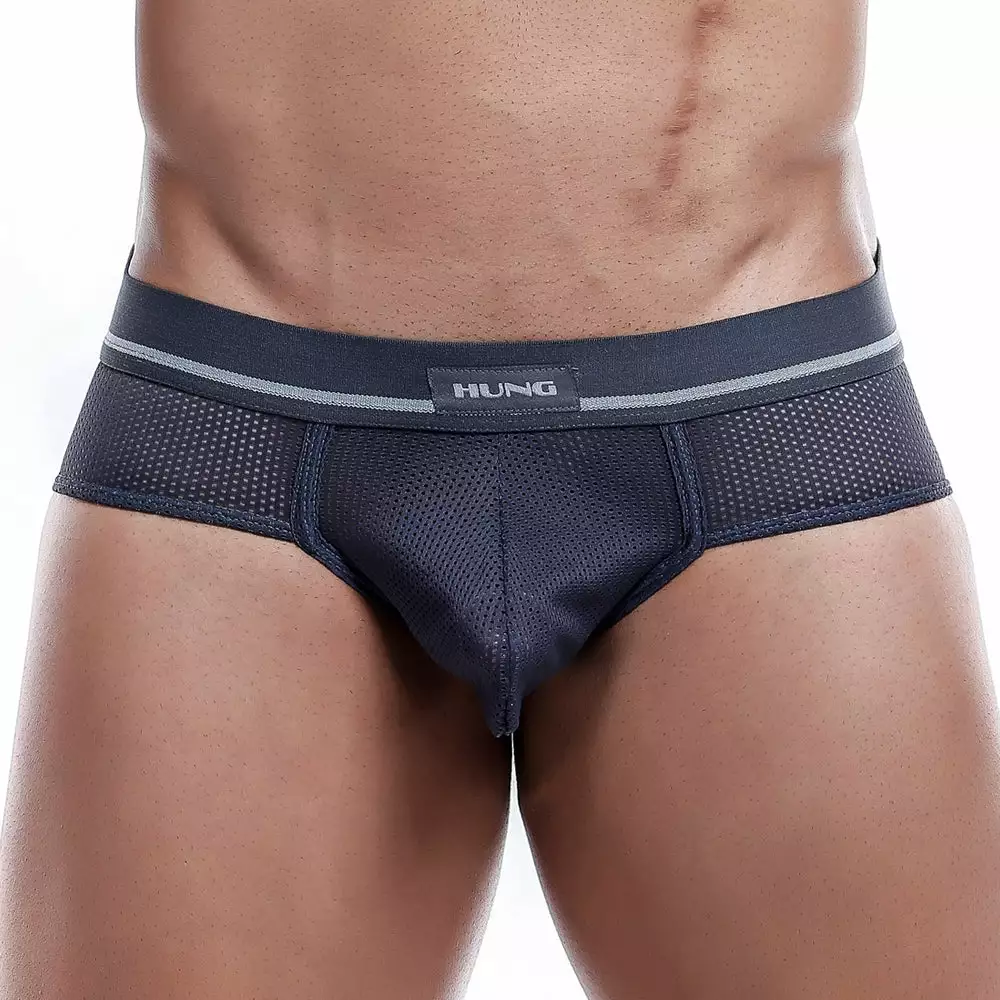 Hung HGJ001 Brief Mesh Underwear 4 Hung HGJ001 Brief Mesh Underwear
