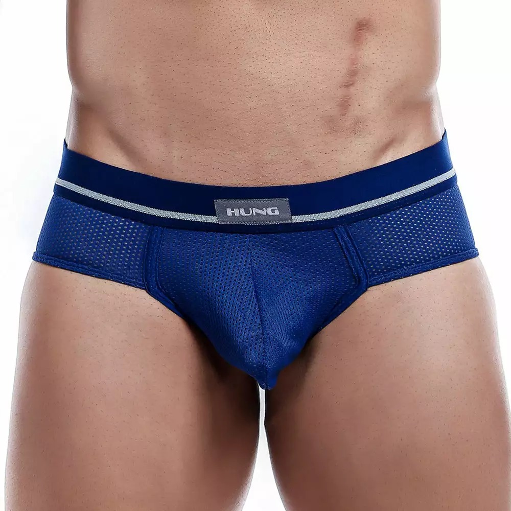 Hung HGJ001 Brief Mesh Underwear 5 Hung HGJ001 Brief Mesh Underwear