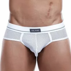 Hung HGJ001 Brief Mesh Underwear 12 Hung HGJ001 Brief Mesh Underwear