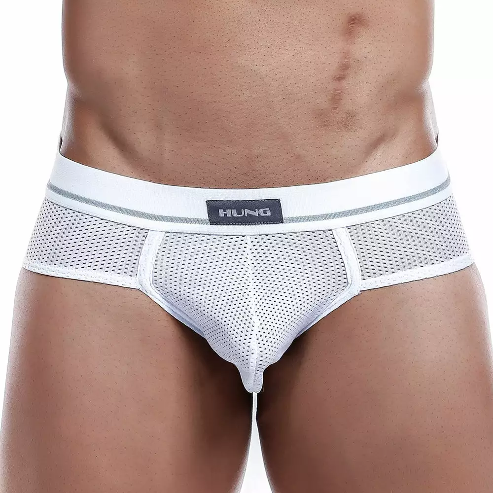 Hung HGJ001 Brief Mesh Underwear 6 Hung HGJ001 Brief Mesh Underwear