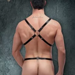 Male Power PAK891 Harness Rip Of Harness Set Best Sellers
