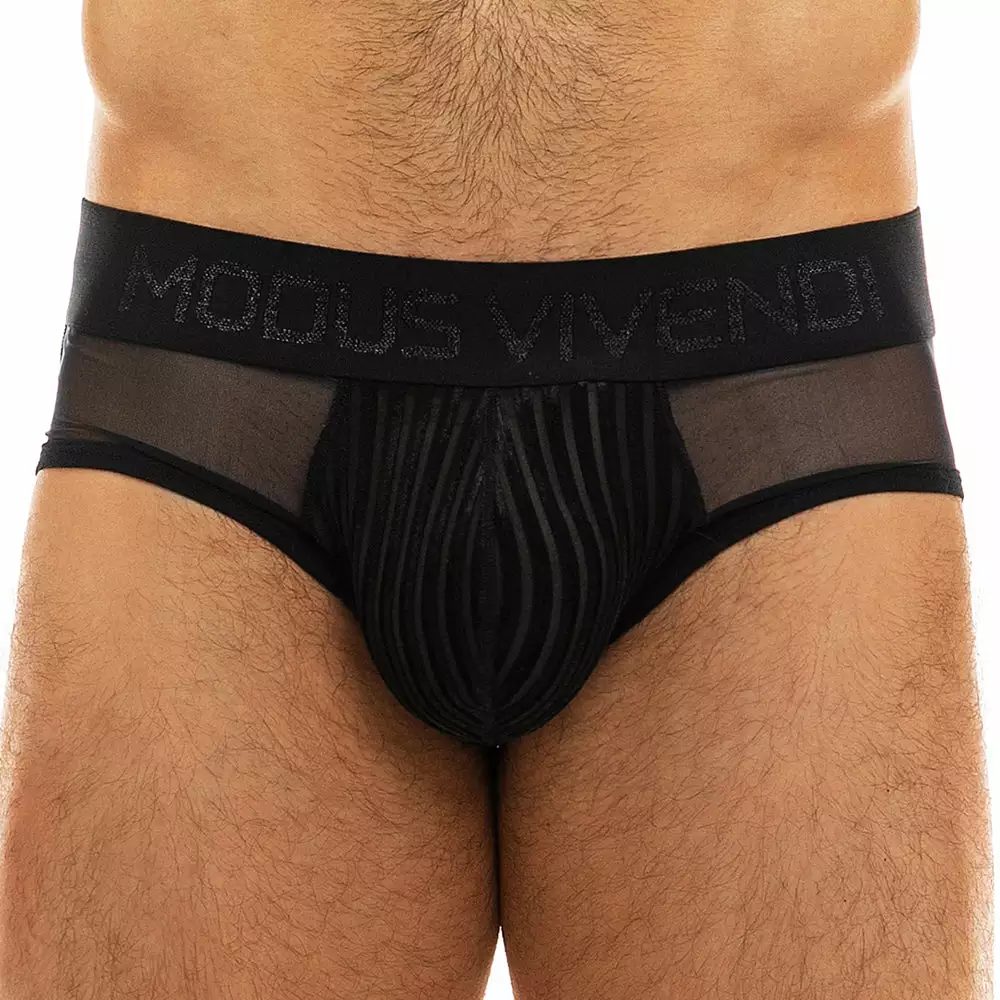Modus Vivendi 12014 Tiffany''s Velvet Brief 1 Modus Vivendi 12014 Tiffany''s Velvet Brief
