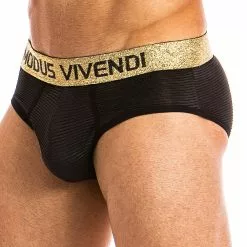 Modus Vivendi 20813 Festive Lux Brief