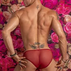 What's New Secret Male SMI042 Aphrodite's Bikini