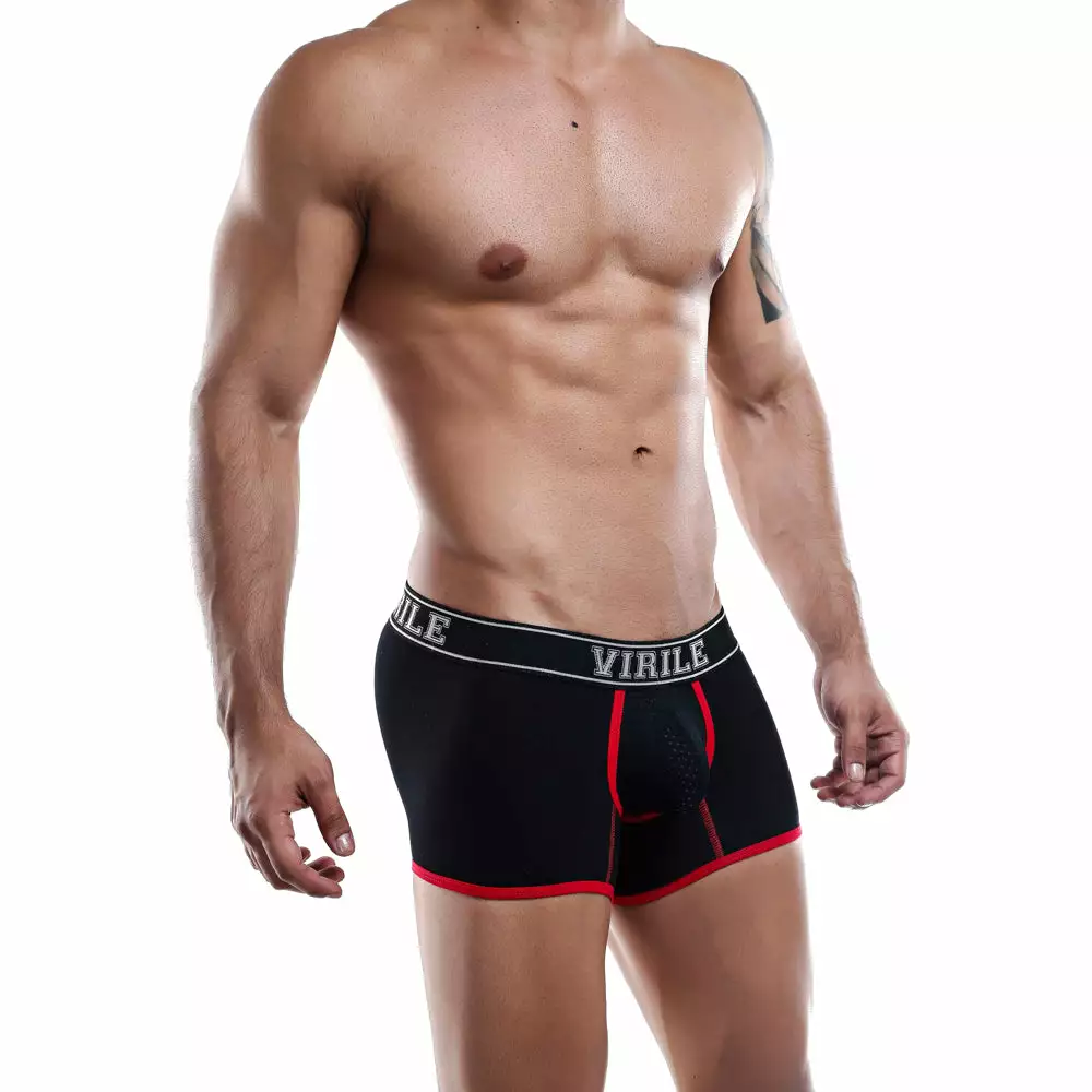 Virile VLG004 Boxer Trunk Mesh Underwear 3 Virile VLG004 Boxer Trunk Mesh Underwear